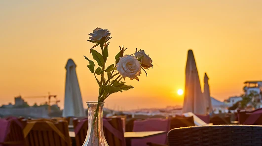 Цветы на фоне заката